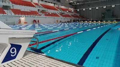 Professional Swimming Academy - Zatoka Sportu